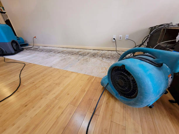 Professional Flood Damage Cleanup technician working in Meadview, AZ